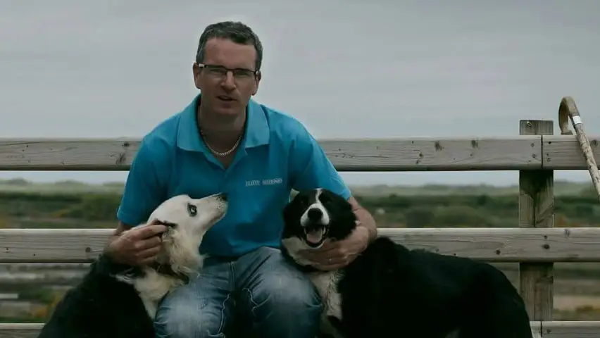 Atlantic Sheepdogs